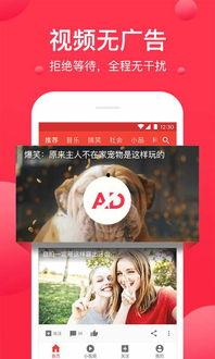 吃瓜视频每日大赛 爆料盒子,爆款盒子背后的秘密大公开